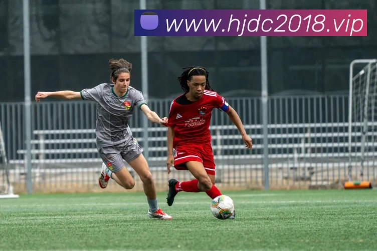 数据防护可视化